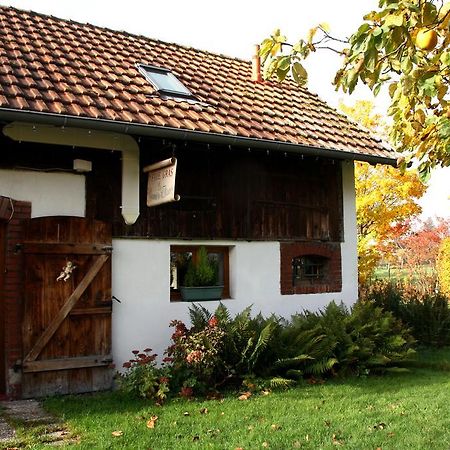 La Grange De Jeanne Villa Moosch Buitenkant foto